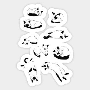 More Sleep Siamese Cat Sticker